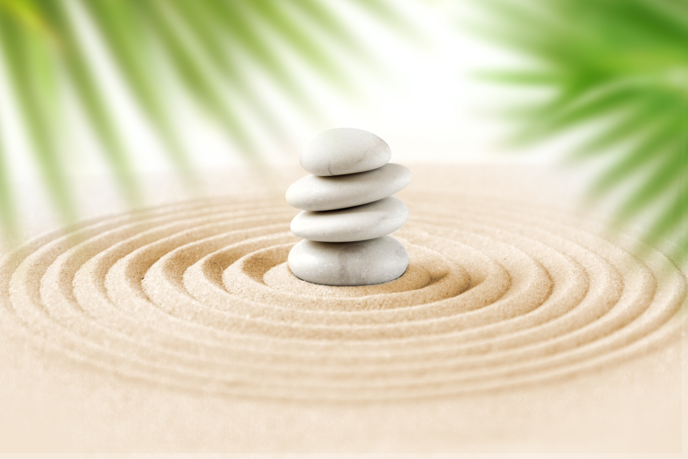 Zen natural japanese garden background